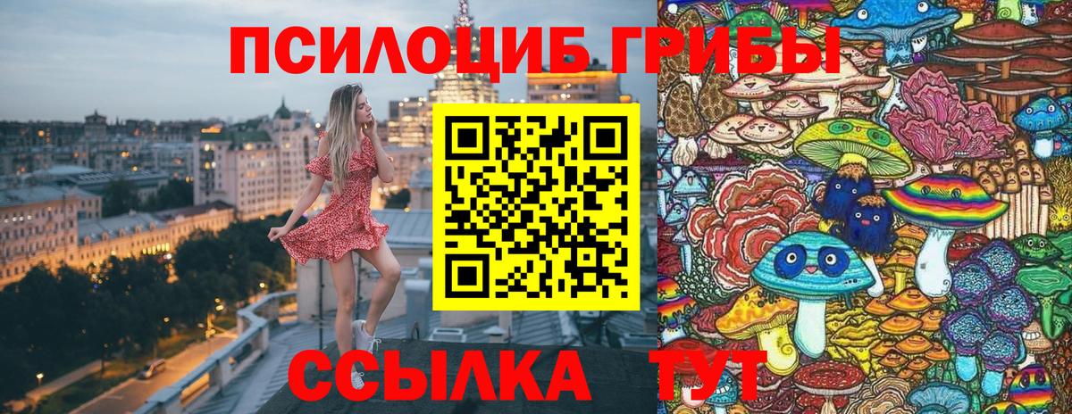 Бор  Галлюциногенные грибы Cubensis  Вход с VPN 