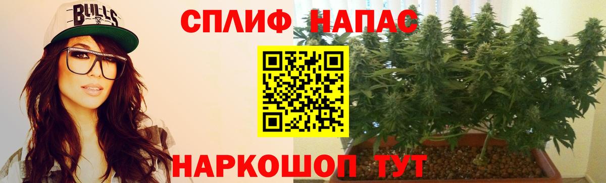 Бошки Шишки марихуана Бор